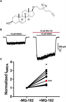 A Clickable Oxysterol Photolabel Retains NMDA Receptor Activity and Accumulates in Neurons